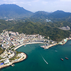 大鹏新区