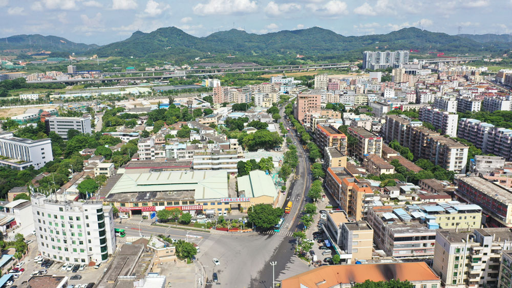 马田1.jpg